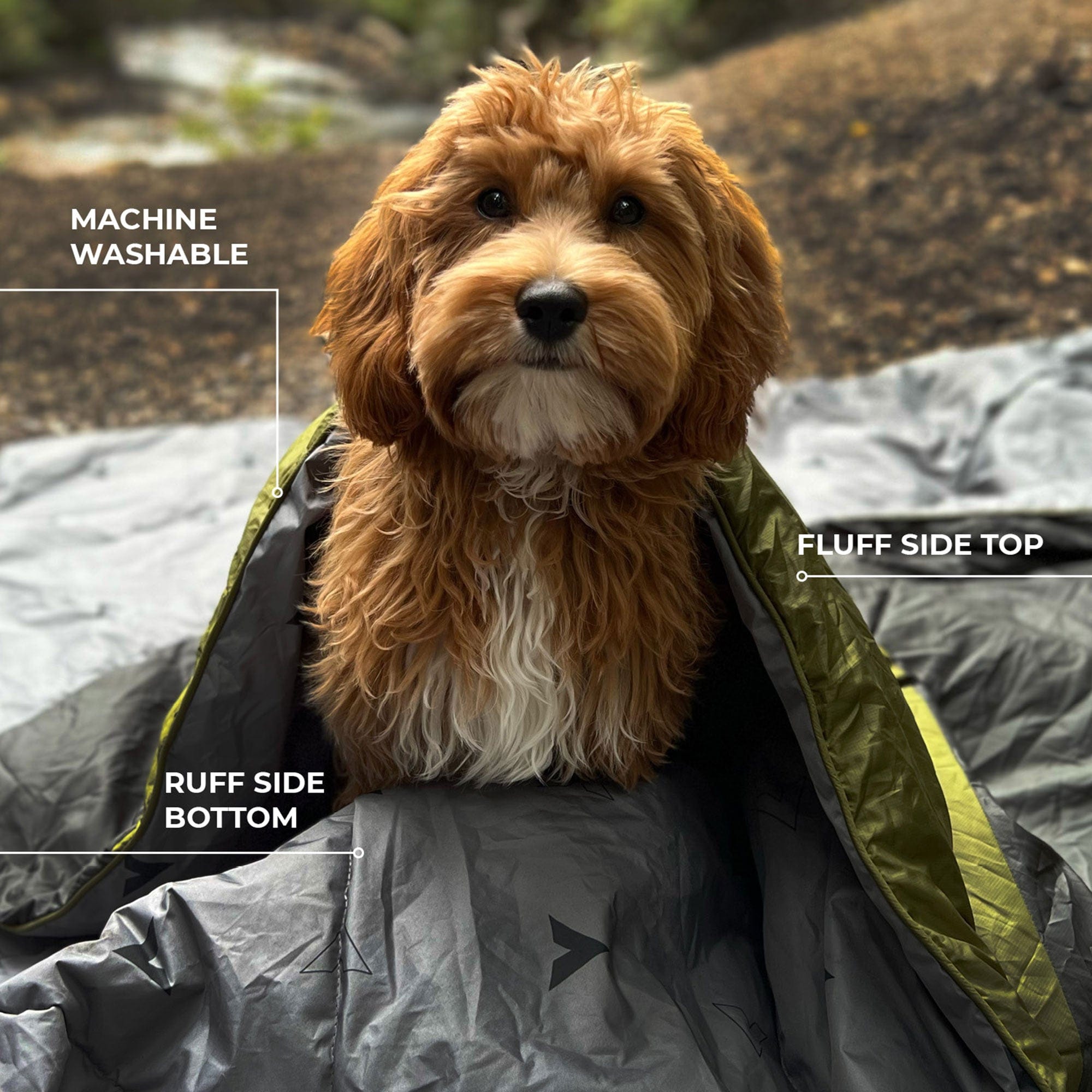 Highline Pet Blanket