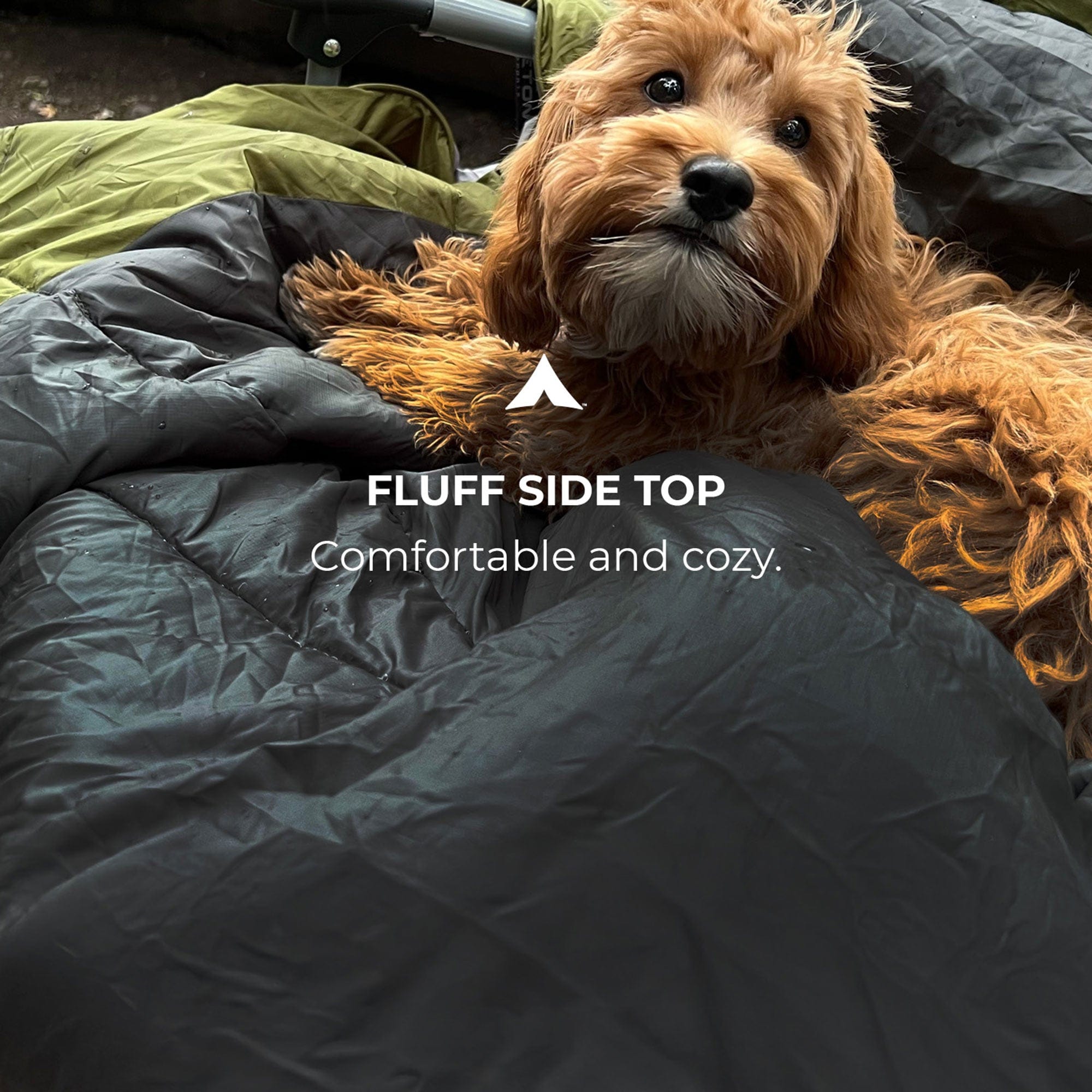 Highline Pet Blanket